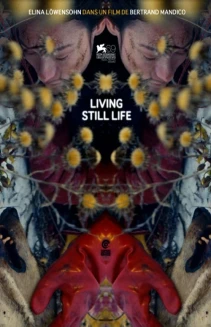 Living Still Life