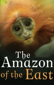 The Amazon of the East