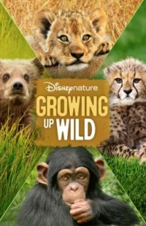 The Growing Up Pets in Films